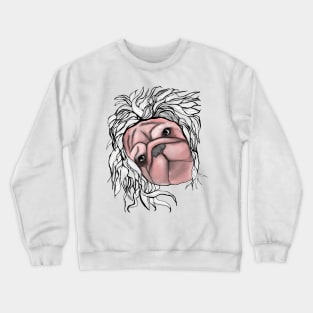 Dog hair Crewneck Sweatshirt